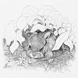 1976 Swamp Bunny