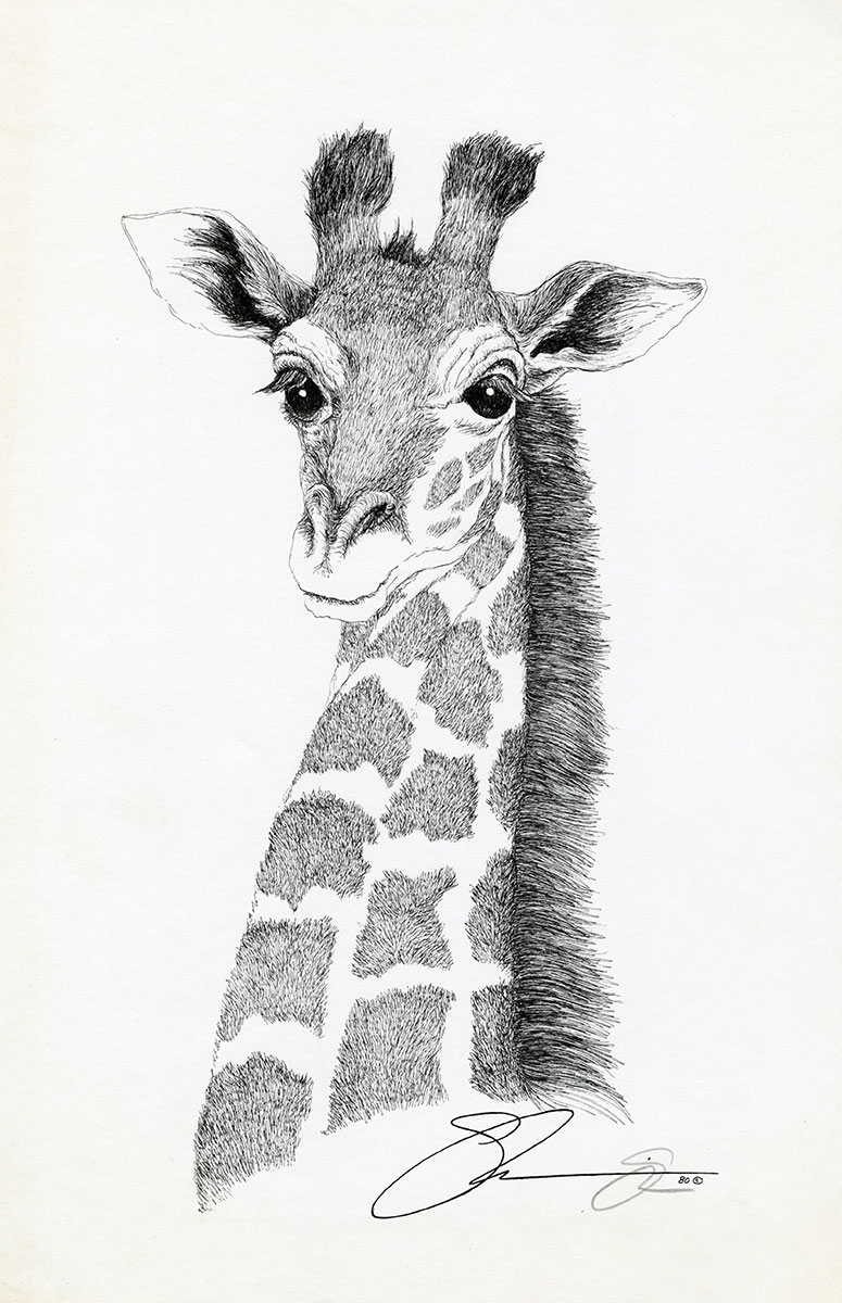 1980 Giraffe