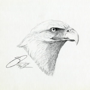 1981 Bald Eagle Head