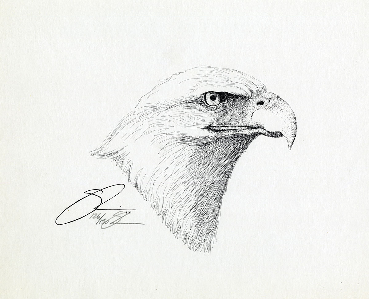 1981 Bald Eagle Head