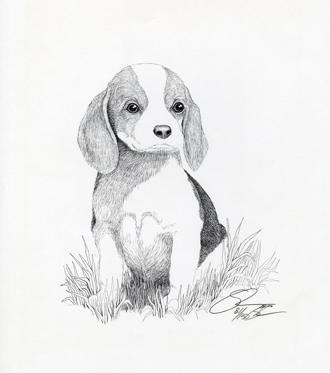 1981 Beagle Pup
