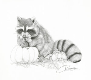 1986 Raccoon with Pumpkin