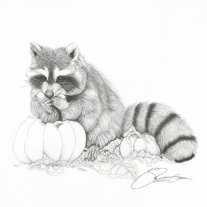 1986 Raccoon with Pumpkin