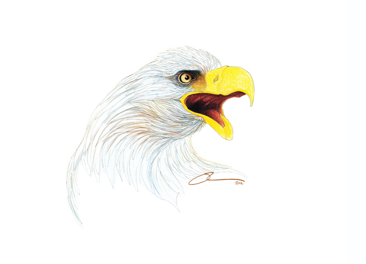 The Screaming Eagle