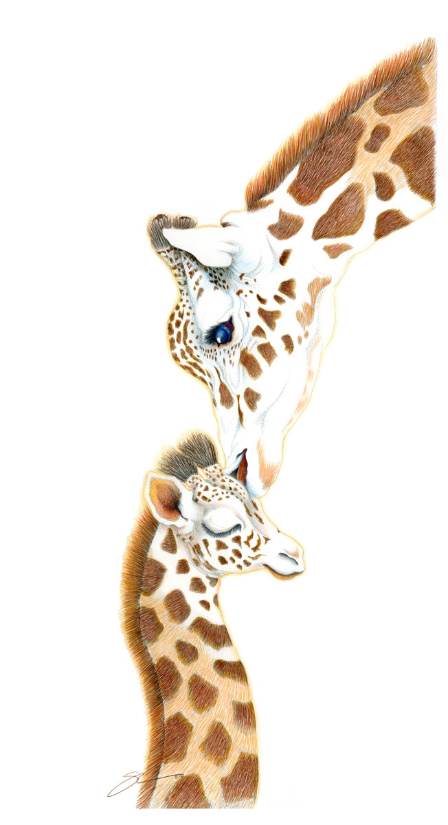 Unconditional Love Giraffe