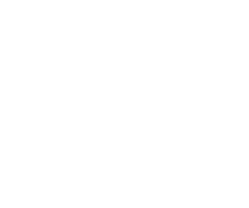 Susan Morrison Gallery